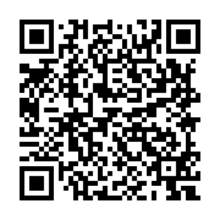 QR code for PNI991