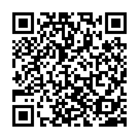 QR code for PNK 238