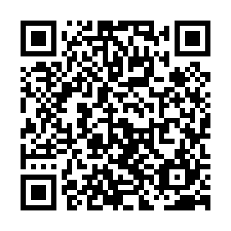 QR code for plate PNK 024