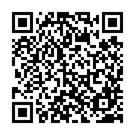 QR code for plate PNK 686