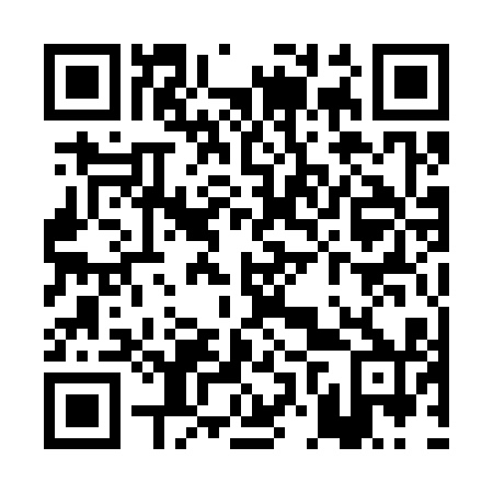 QR code for plate PNQ 310
