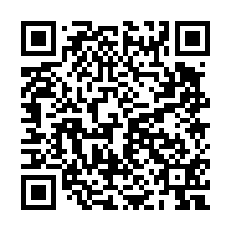 QR code for plate PNQ 411