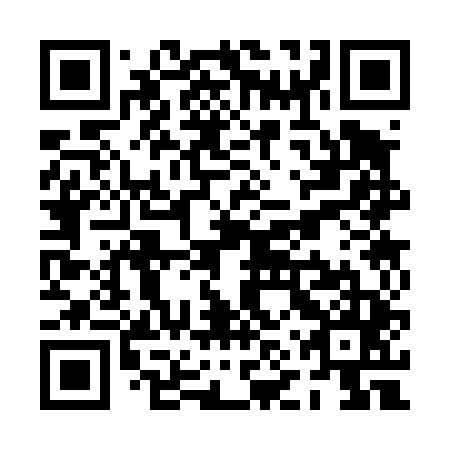 QR code for PNS 445
