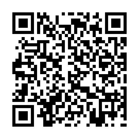 QR code for PNT 393
