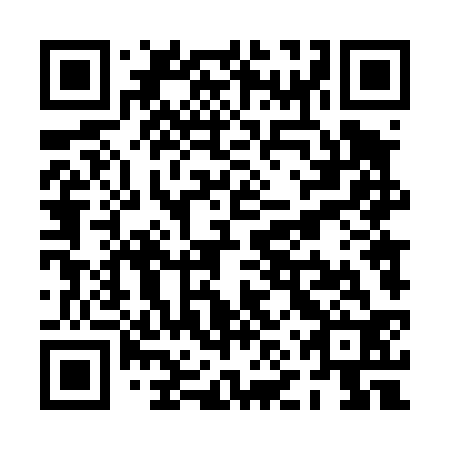QR code for plate PNT 432