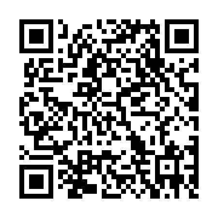 QR code for PNU 541