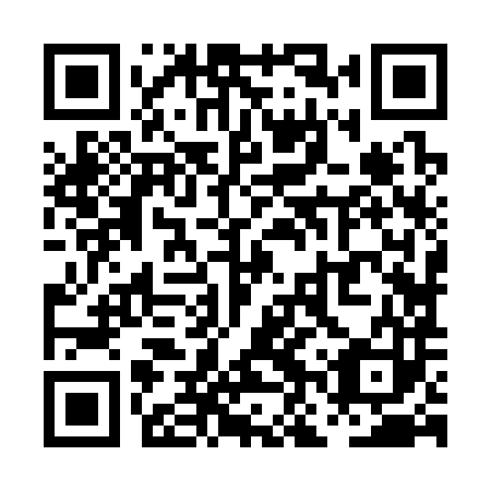 QR code for PNZ 383