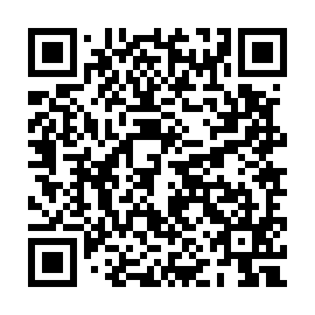 QR code for PNZ 595