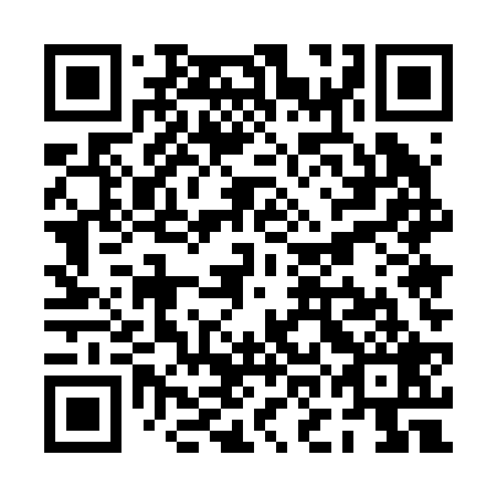 QR code for POE 229