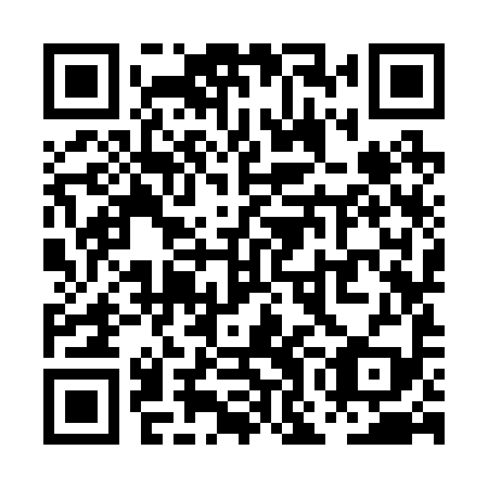 QR code for plate POK 299