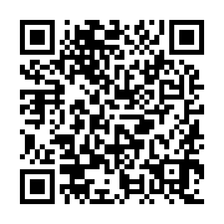 QR code for plate POK 990