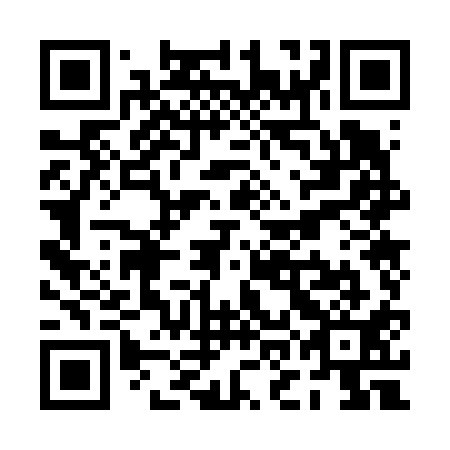 QR code for POO611