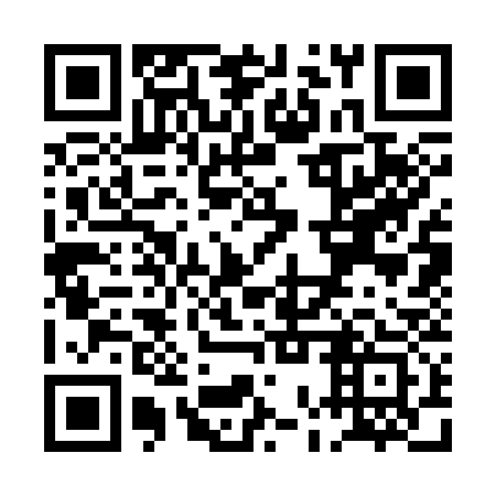 QR code for POS 333