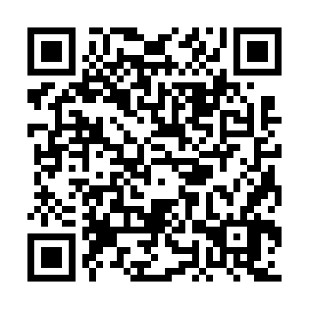 QR code for POS 666