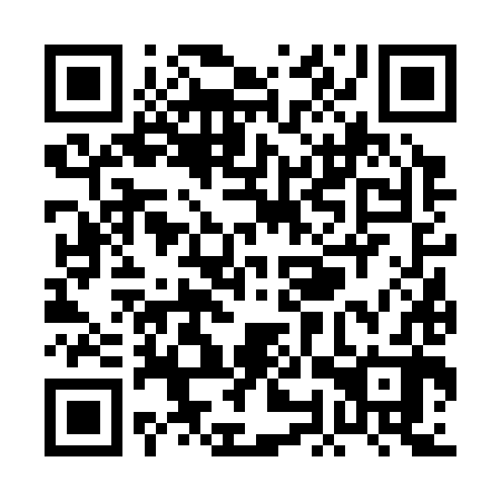 QR code for POV 382