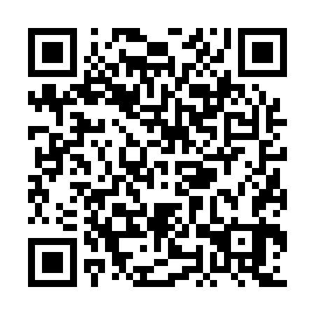 QR code for plate POV 163