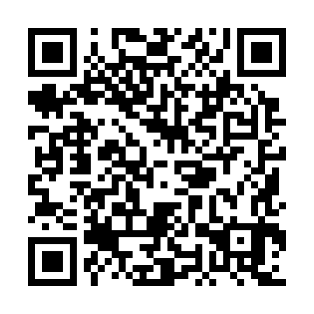 QR code for POY 383