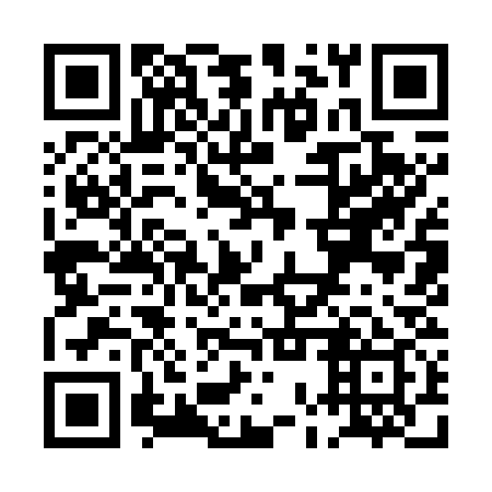 QR code for POY 739
