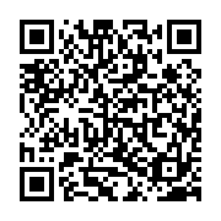 QR code for plate PPA 133