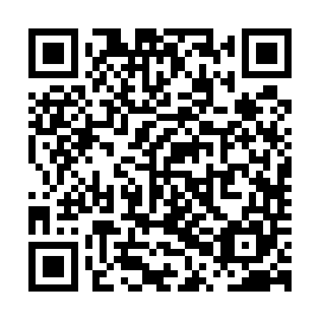 QR code for plate PPB 545