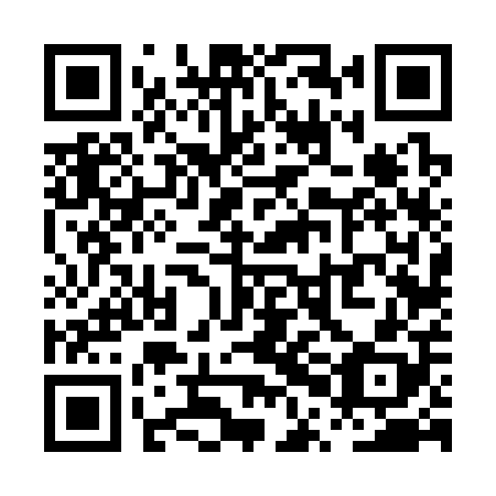 QR code for PPF 308