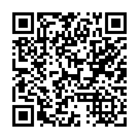 QR code for PPF 919
