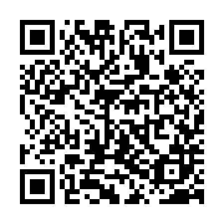 QR code for plate PPG 882