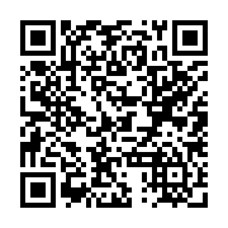 QR code for plate PPG 985