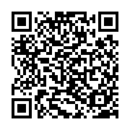 QR code for PPI 705