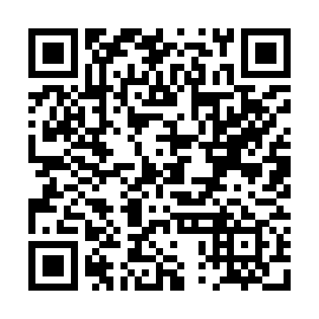 QR code for PPI 979