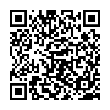 QR code for plate PPK 317