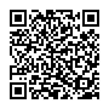QR code for PPN 419