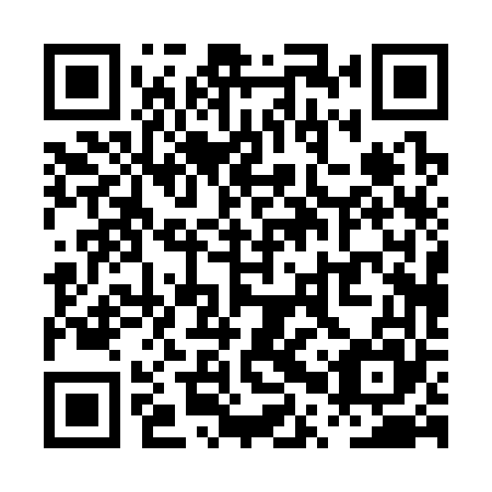 QR code for PPP 365