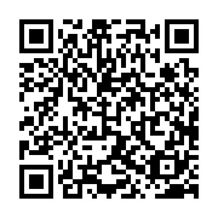QR code for PPP 370