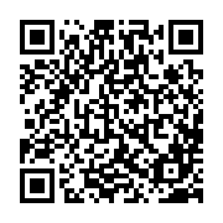 QR code for PPP 386