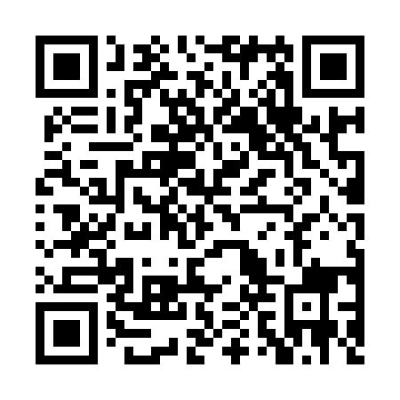 QR code for PPT959