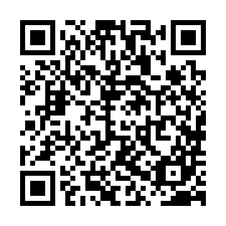 QR code for PPX387