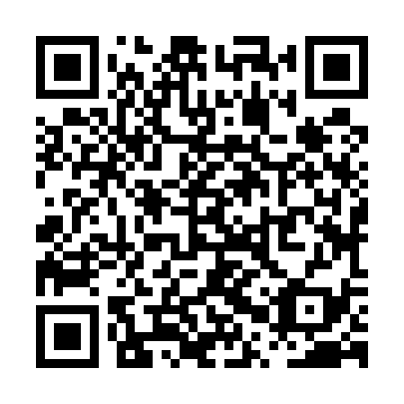 QR code for PPZ 539