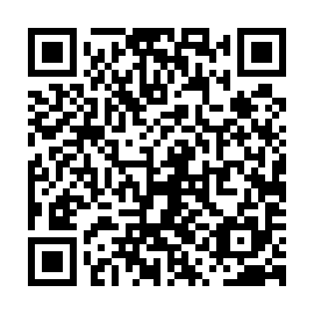 QR code for PQD 595