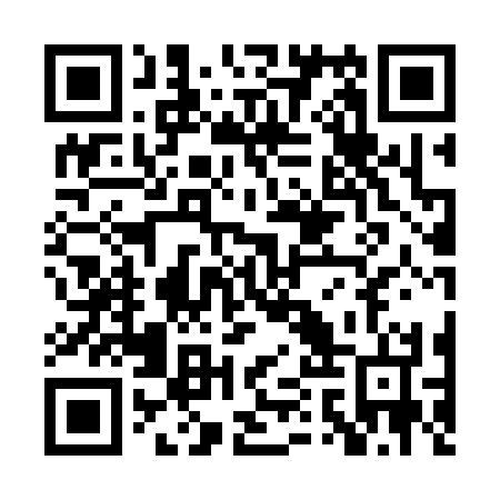 QR code for PQQ 334