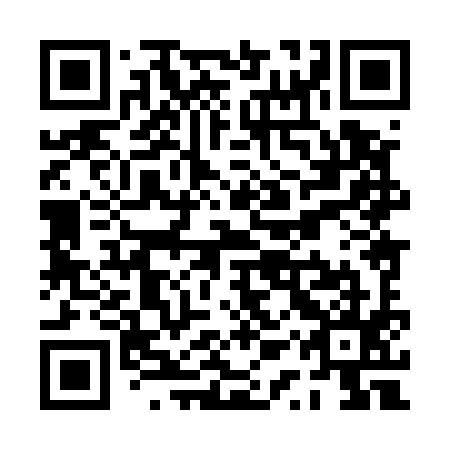 QR code for PQX 595