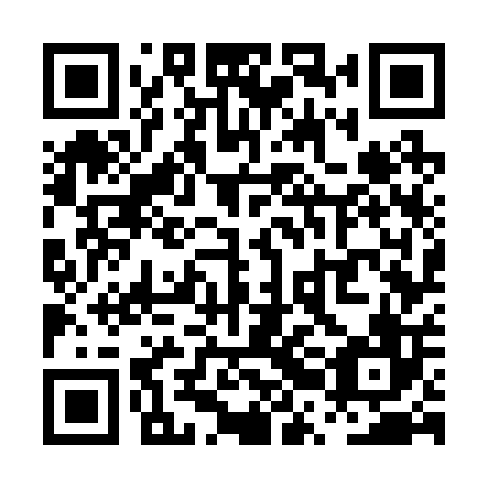 QR code for plate PRG 206