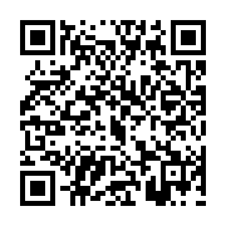 QR code for PRI381