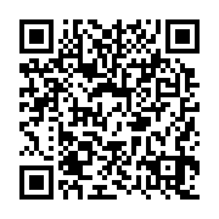 QR code for plate PRJ 333