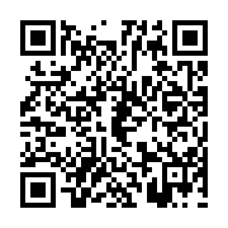 QR code for plate PRO 312