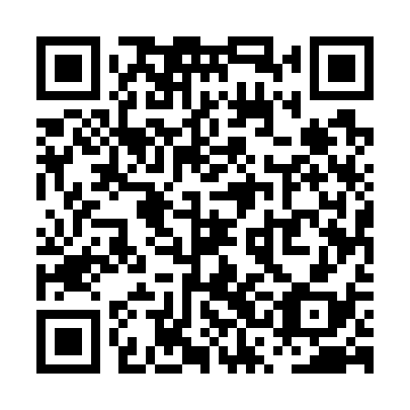 QR code for plate PSE 738