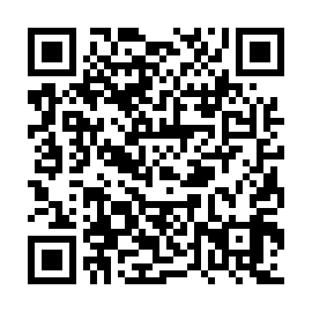 QR code for plate PTS 519