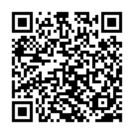 QR code for PTU 290