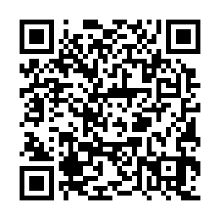 QR code for plate PTU 333