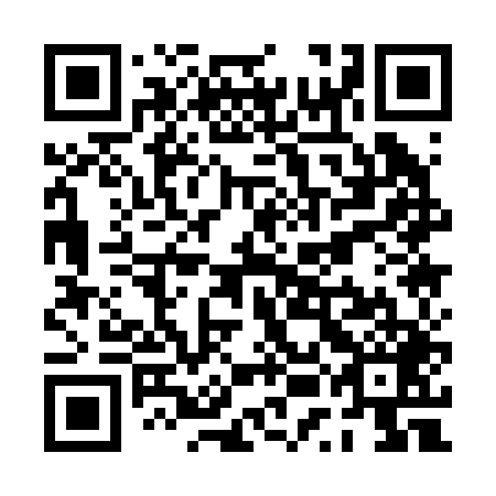 QR code for PUA 249